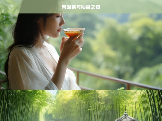 普洱茶与瘦身之旅