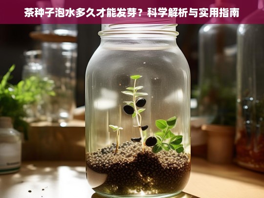 茶种子泡水多久才能发芽？科学解析与实用指南