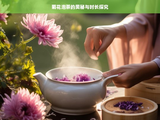 菊花泡茶的奥秘与时长探究