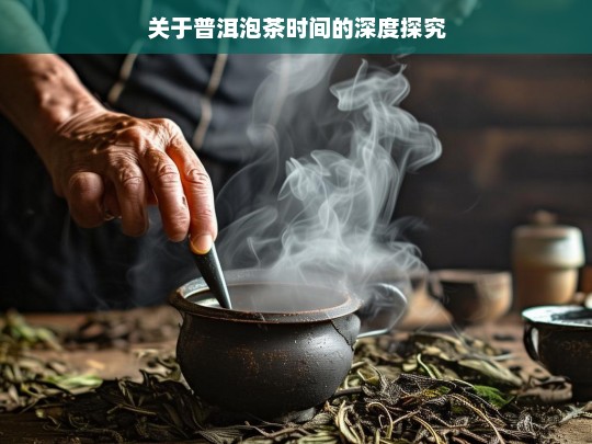 关于普洱泡茶时间的深度探究