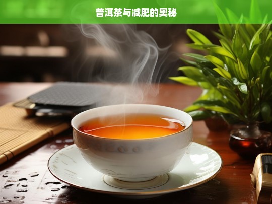 普洱茶与减肥的奥秘