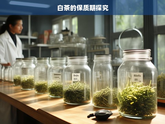 白茶的保质期探究