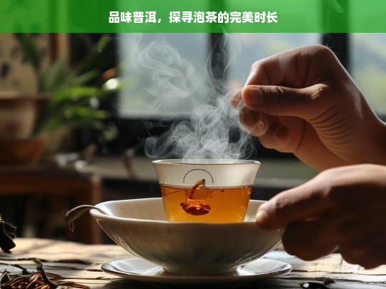 品味普洱，探寻泡茶的完美时长