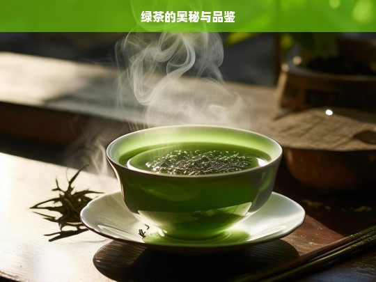 绿茶的奥秘与品鉴