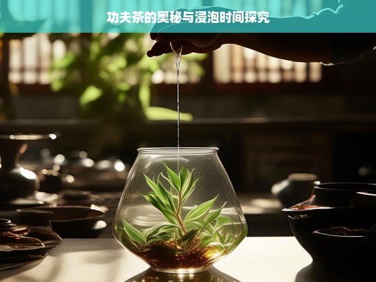 功夫茶的奥秘与浸泡时间探究