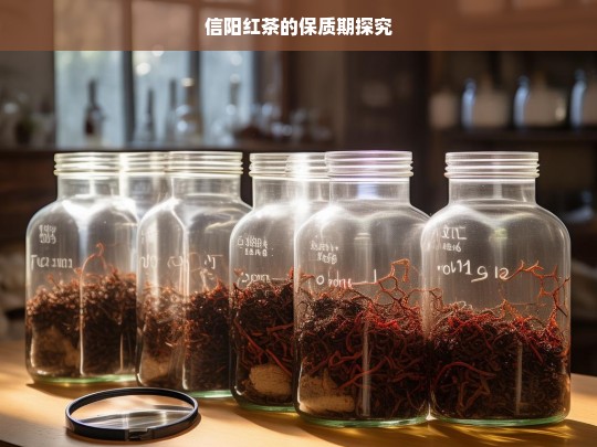 信阳红茶的保质期探究