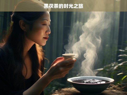 黑茯茶的时光之旅