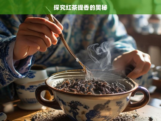 探究红茶提香的奥秘