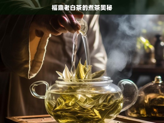 福鼎老白茶的煮茶奥秘