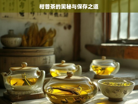 柑普茶的奥秘与保存之道