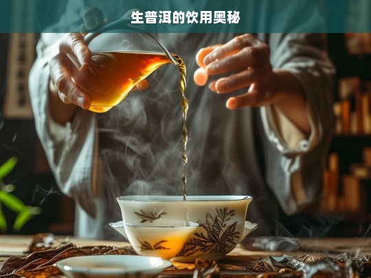 生普洱的饮用奥秘