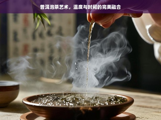 普洱泡茶艺术，温度与时间的完美融合