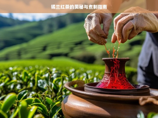 锡兰红茶的奥秘与煮制指南