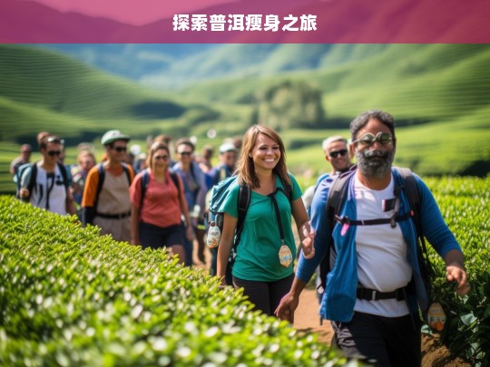 探索普洱瘦身之旅