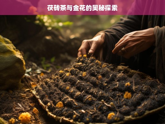 茯砖茶与金花的奥秘探索