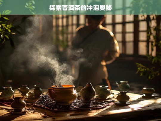 探索普洱茶的冲泡奥秘