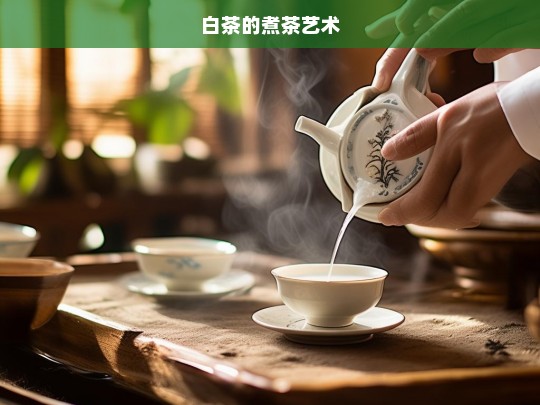 白茶的煮茶艺术