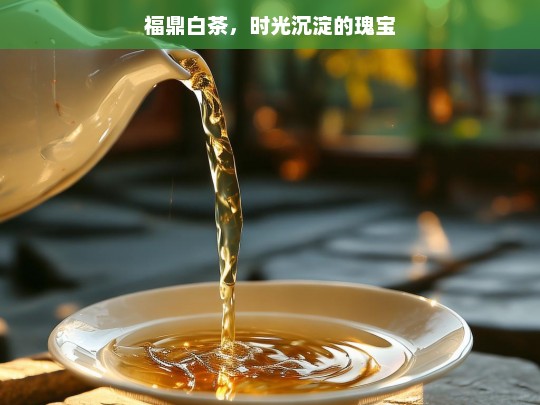 福鼎白茶，时光沉淀的瑰宝