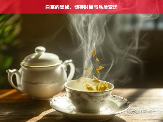 白茶的奥秘，储存时间与品质变迁