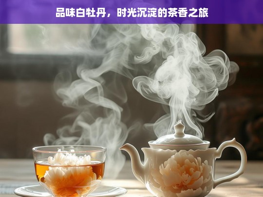 品味白牡丹，时光沉淀的茶香之旅