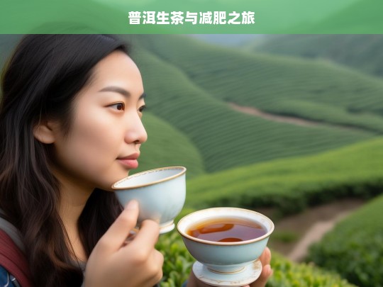 普洱生茶与减肥之旅