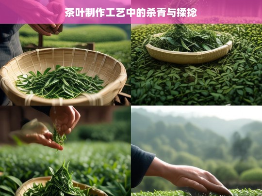 茶叶制作工艺中的杀青与揉捻