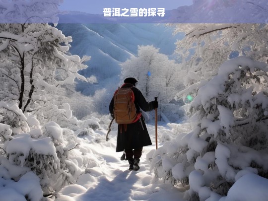 普洱之雪的探寻