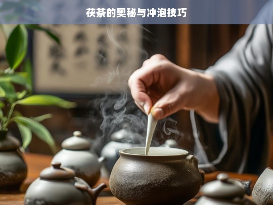 茯茶的奥秘与冲泡技巧