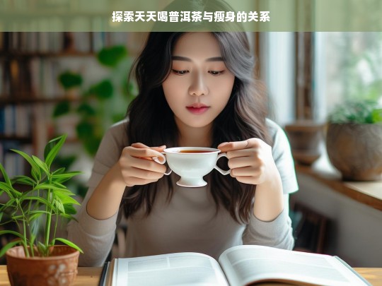 探索天天喝普洱茶与瘦身的关系