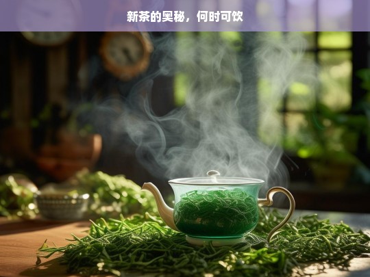 新茶的奥秘，何时可饮