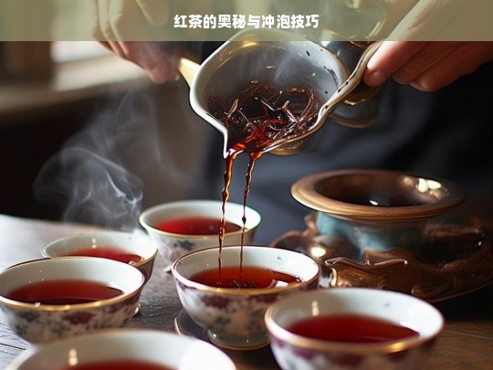 红茶的奥秘与冲泡技巧