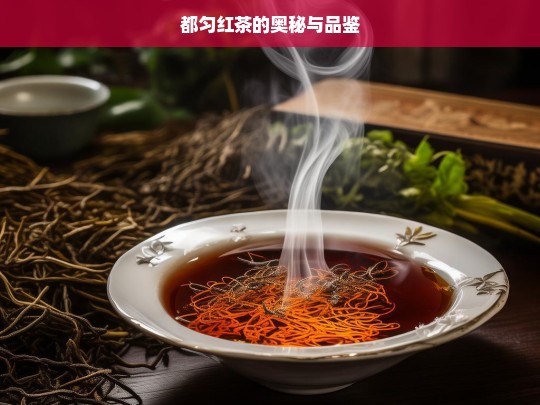 都匀红茶的奥秘与品鉴