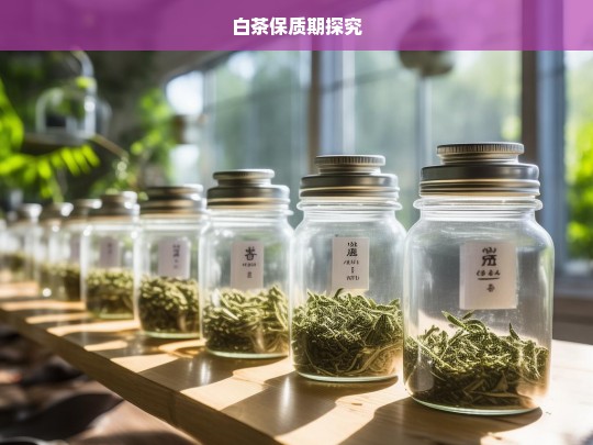 白茶保质期探究