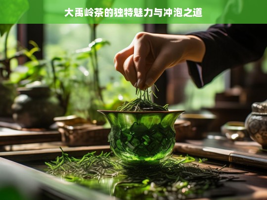 大禹岭茶的独特魅力与冲泡之道