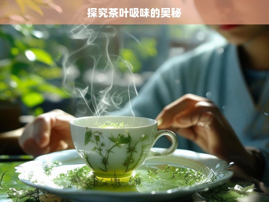 探究茶叶吸味的奥秘