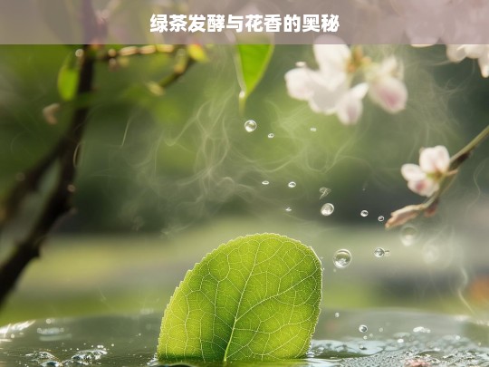 绿茶发酵与花香的奥秘