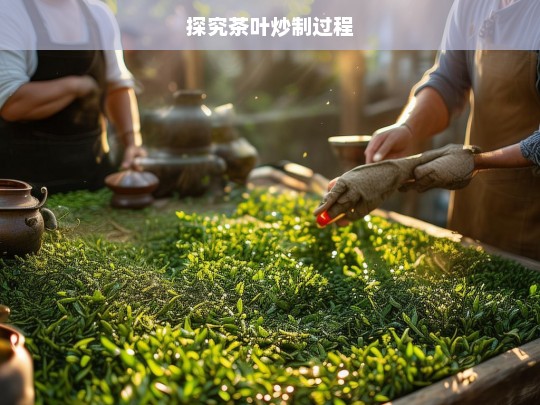 探究茶叶炒制过程