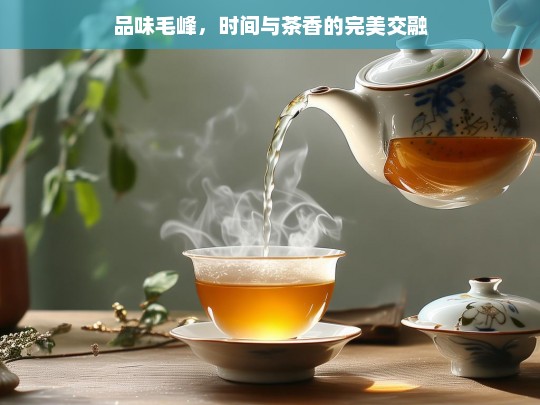 品味毛峰，时间与茶香的完美交融