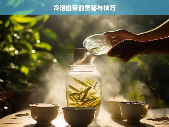 冷泡白茶的奥秘与技巧