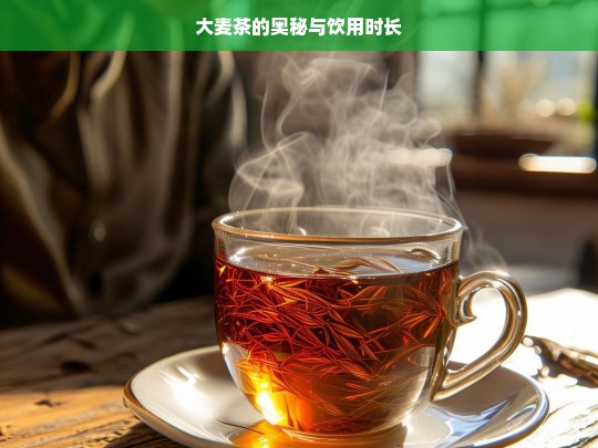 大麦茶的奥秘与饮用时长