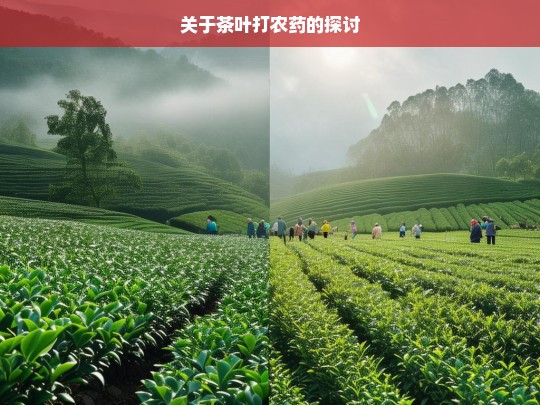 关于茶叶打农药的探讨