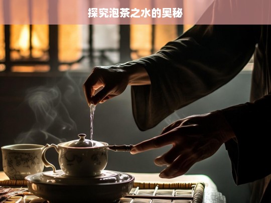 探究泡茶之水的奥秘