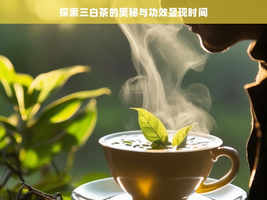 探索三白茶的奥秘与功效显现时间