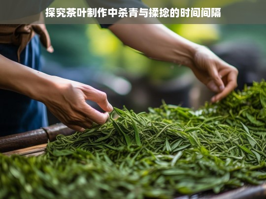 探究茶叶制作中杀青与揉捻的时间间隔