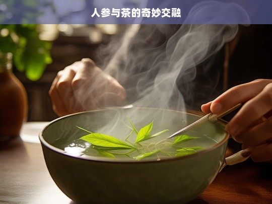 人参与茶的奇妙交融