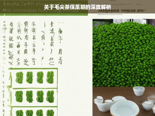 关于毛尖茶保质期的深度解析