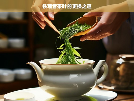 铁观音茶叶的更换之道