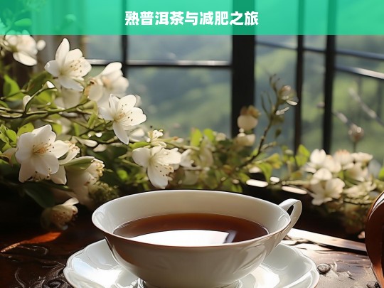 熟普洱茶与减肥之旅