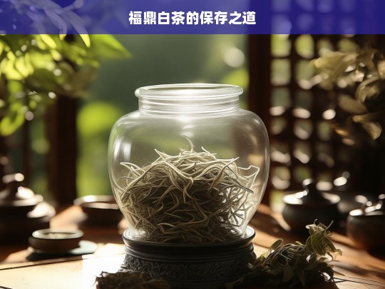 福鼎白茶的保存之道