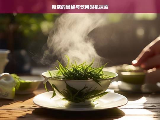 新茶的奥秘与饮用时机探索